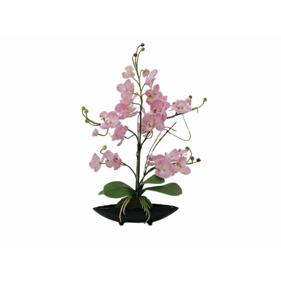 Afbeelding van Europalms Orchidee Arrangement EVA, paars