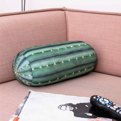 Afbeelding van Cactus Pillow van Kikkerland