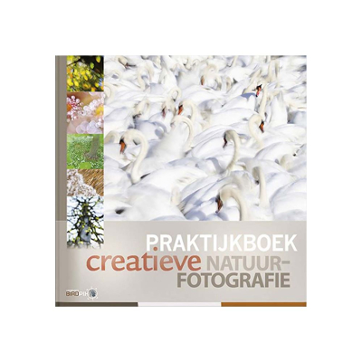 Afbeelding van Birdpix Praktijkboek Creatieve Natuurfotografie