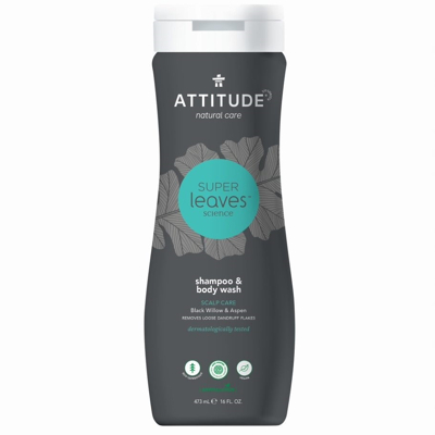 Afbeelding van Attitude Shampoo &amp; Douchegel 2 in 1 Scalp Care