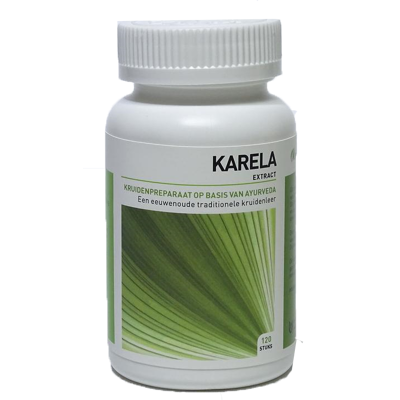 Afbeelding van Ayurveda Health Karela Momordica, 120 tabletten