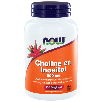 Afbeelding van Now Choline en Inositol 500mg, 100 Veg. capsules