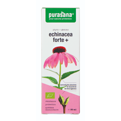 Afbeelding van Purasana Echinacea Forte+ Druppels 50ML