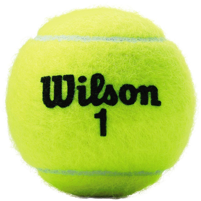 Afbeelding van Wilson Championship Tennisballen Geel Tennisbal