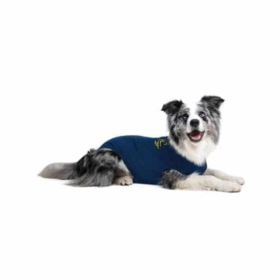 Afbeelding van Medical pet shirt hond S+ (49 75 cm)