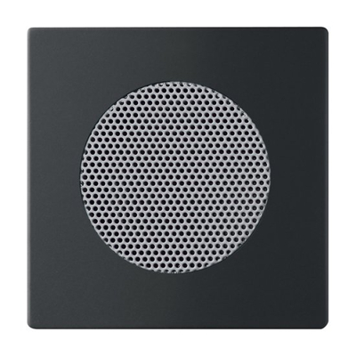 Afbeelding van Busch Jaeger 8253 885 centraalplaat luidspreker Future Linear mat zwart