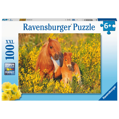 Abbildung von Ravensburger 100 XXL Shetlandponys Puzzle für Kinder, Größe: One Size, Multi coloured