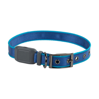Afbeelding van Nite Ize NiteDog LED Halsband Maat L Blauw Oplaadbaar