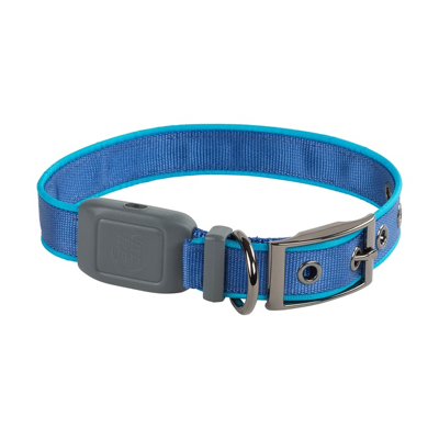 Afbeelding van Nite Ize NiteDog LED Halsband Maat M Blauw Oplaadbaar