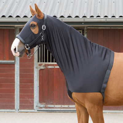 Abbildung von Harry&#039;s Horse Brustschutz Lycra mit Kopfschutz Schwarz M