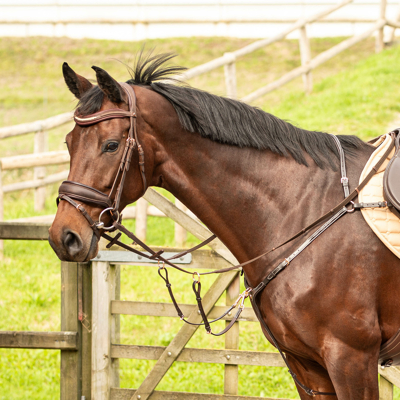 Abbildung von Harry&#039;s Horse Brustgeschirr Rosegold Braun Vollblut
