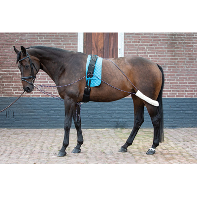 Afbeelding van Harry&#039;s Horse Longeerhulpteugel Full Zwart Crème