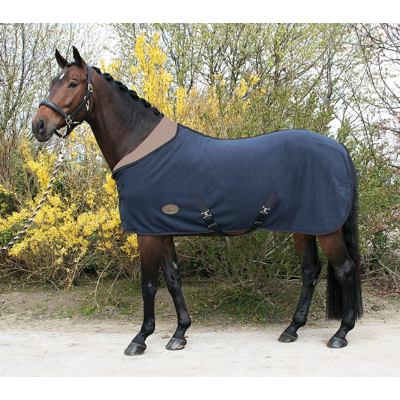 Afbeelding van Harry&#039;s Horse Teddyfleece deken 1/2 hals