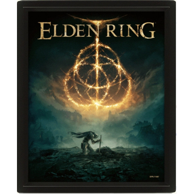 Afbeelding van Elden Ring Battlefield of the Fallen Framed 3D Poster