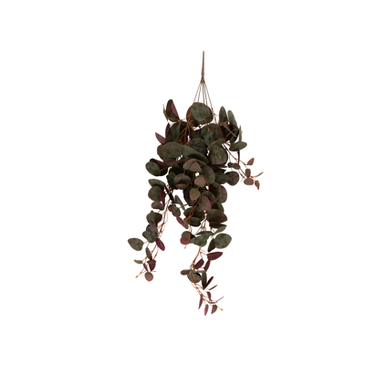 Afbeelding van Pt Kunstplant Artificial Hanging Ceropegia Groen 20,3x78,7cm