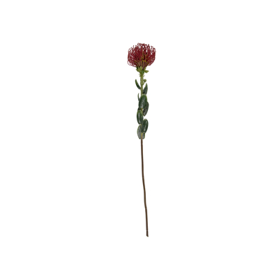 Afbeelding van Zijdebloem protea light pink 73,1 cm Bloemen