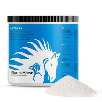 Afbeelding van L Lysine+ paard 500 gram Paarden Supplementen