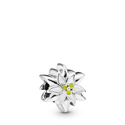 Afbeelding van Pandora 798243ENMX Bedel zilver Edelweiss Flower
