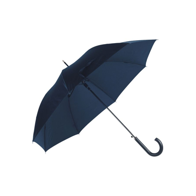Afbeelding van Samsonite Rain Pro Stick Umbrella blue