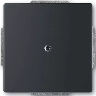 Afbeelding van Busch Jaeger mat zwarte blindplaat met draagframe 1742 885