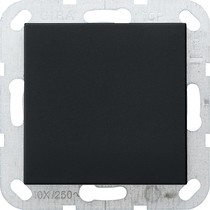 Afbeelding van Gira blindplaat Systeem 55 mat zwart