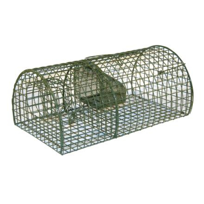 Image de Kerbl Piège à Rat Modèle de Cage 40cm