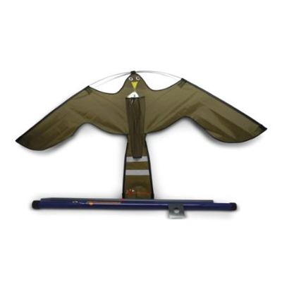 Afbeelding van Hawk Kite Vogelverjagende vlieger bruin, 7 m, Ketrop Geschikt voor Veehouderij