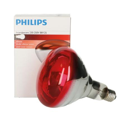 Billede af Philips varmepære HG rød 250W, Egnet til Kvæg Køer Svin Grise Geder