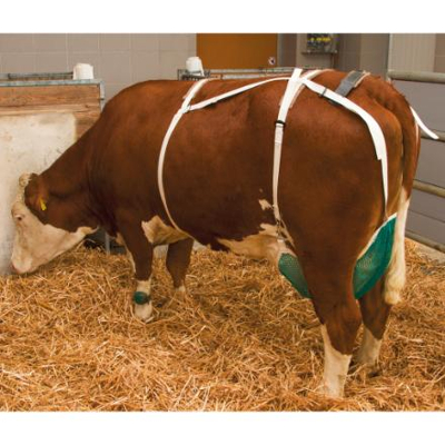 Afbeelding van Uierbescherming net middel, Kerbl Geschikt voor Rundvee Koeien