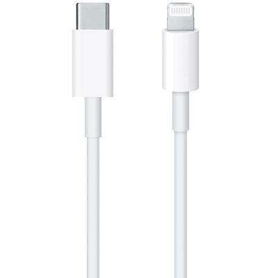 Afbeelding van Apple Lightning to USB C Cable 1m