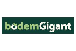 BodemGigant Logo