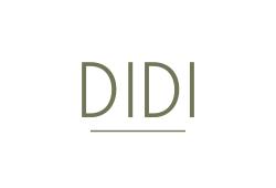 DIDI Logo