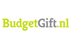 BudgetGift Logo