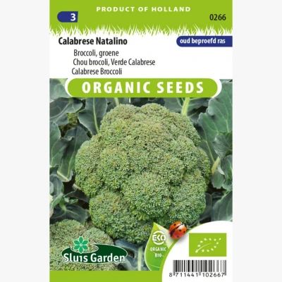 Afbeelding van Broccoli Groene Calabrese Natalino Sluis Garden (BIO)