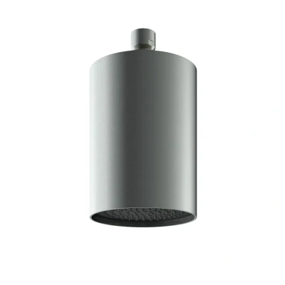 Afbeelding van HotBath Archie Beam velvet hoofddouche met plafondbevestiging RVS316 AR472IX