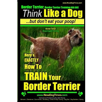 Afbeelding van Border Terrier, Terrier Training AAA Akc