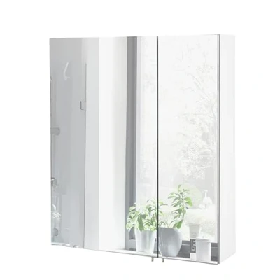Afbeelding van Schildmeyer Spiegelkast Basic Breedte 60 cm, 2 deurs, glasplateaus, Made in Germany