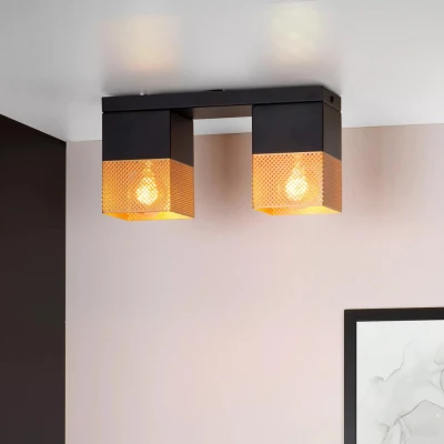 Afbeelding van Lucide Plafondlamp Renate 2L