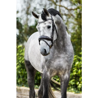Afbeelding van Premiera &quot;Verona&quot; bruin anatomisch hoofdstel