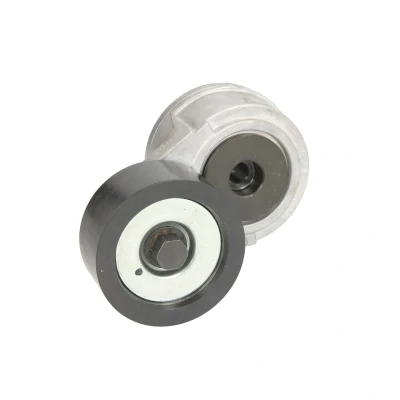 Afbeelding van SKF Spanrol (poly) V riem VKMCV 51021