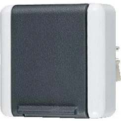 Afbeelding van Jung stopcontact WG800 2 voudig grijs RAL7035 822N