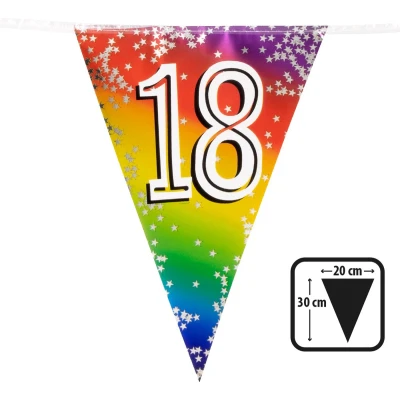 Afbeelding van Vlaggenlijn 18 jaar versiering vlaggetjes slinger 6 meter Vlaggenlijnen