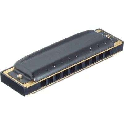 Afbeelding van Hohner Pro Harp B MS Diatonische mondharmonica