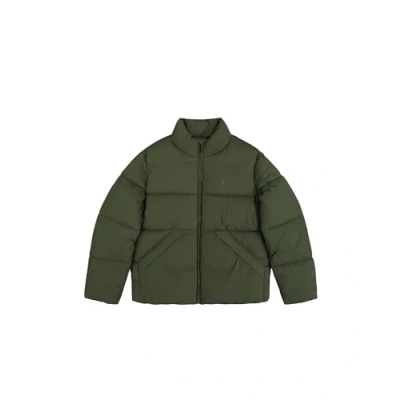 Afbeelding van Champion Rochester Icons Outdoor Crinkle Jacket Winterjas, Heren, Maat: Large, Green