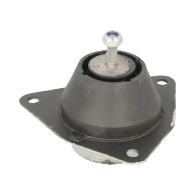 Afbeelding van Delphi Diesel Motorsteun TEM035