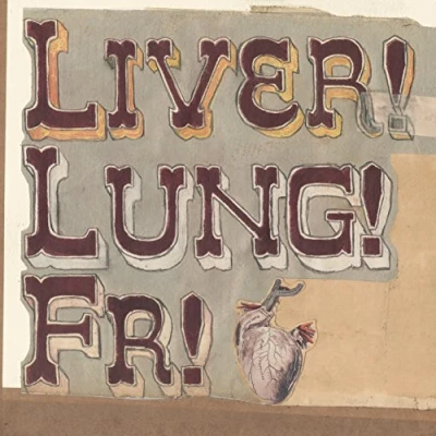 Afbeelding van Frightened Rabbit Quietly Now (CD)
