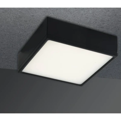 Afbeelding van ECO Light LED KLIO Q11 NER Plafondlamp 16 W Zwart
