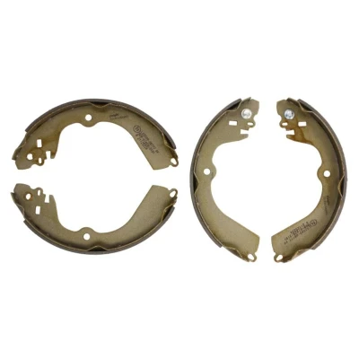 Afbeelding van Delphi Diesel Remschoen set LS2049