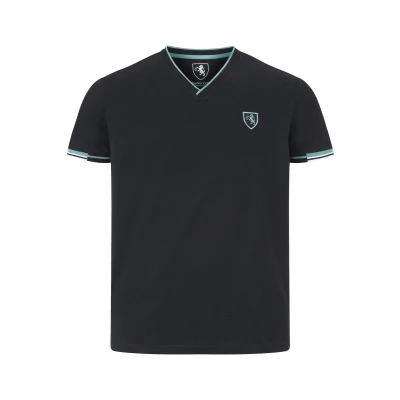 Afbeelding van Charles Colby EARL EWAN Tshirt basic, Heren, Maat: Large, Schwarz