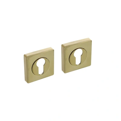 Afbeelding van Intersteel cilinderrozetten vierkant verdekt 55x55x10mm met nokken messing PVD
